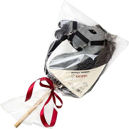 https://hobbyhorsefun.nl/wp-content/uploads/2025/01/717BzZJ9YsL._AC_SX522_.jpg