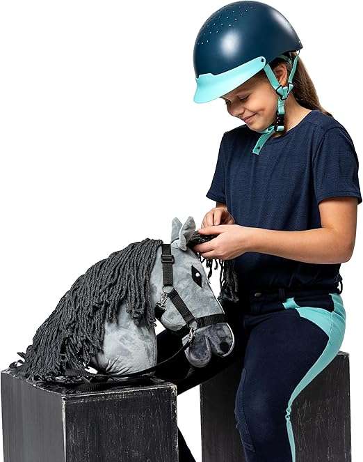 https://hobbyhorsefun.nl/wp-content/uploads/2025/01/81PFX6UiOOL._AC_SX522_.jpg
