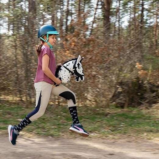 https://hobbyhorsefun.nl/wp-content/uploads/2025/01/910Y-ztR8FL._AC_SX522_.jpg