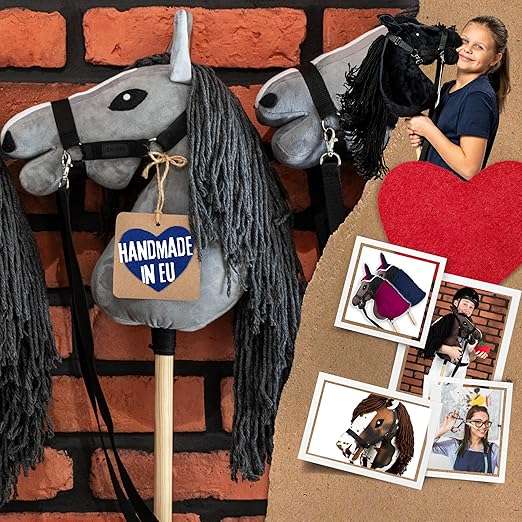 https://hobbyhorsefun.nl/wp-content/uploads/2025/01/91fDOAvwpyL._AC_SX522_-1.jpg