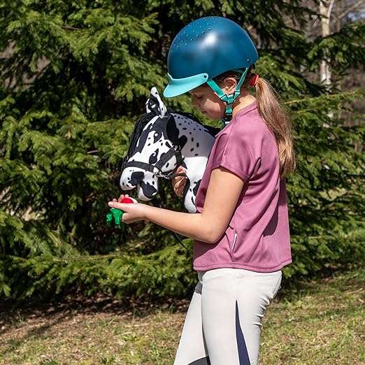 https://hobbyhorsefun.nl/wp-content/uploads/2025/01/91hoPOb89dL._AC_SX522_.jpg