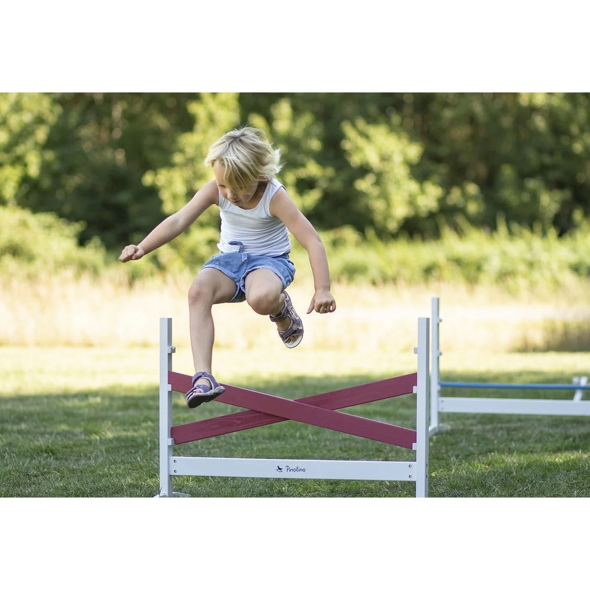 https://hobbyhorsefun.nl/wp-content/uploads/2025/01/drie-delige-hindernisset-5.jpg