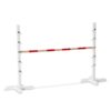 Rozetten voor Hobby Horses – Set van 2 De Hobby Horse specialist van Nederland en België HobbyHorse Accessoires