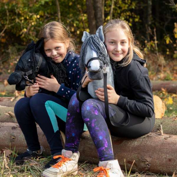 https://hobbyhorsefun.nl/wp-content/uploads/2025/01/s5___cute-hobby-horses-riders_600x600.jpeg
