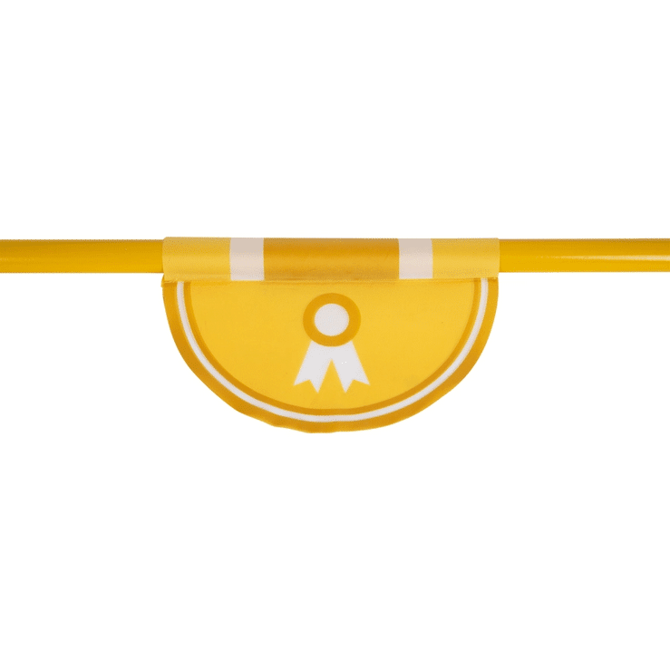 https://hobbyhorsefun.nl/wp-content/uploads/2025/01/spring-hindernis-voor-stokpaarden-stabiele-uitvoering-7.png