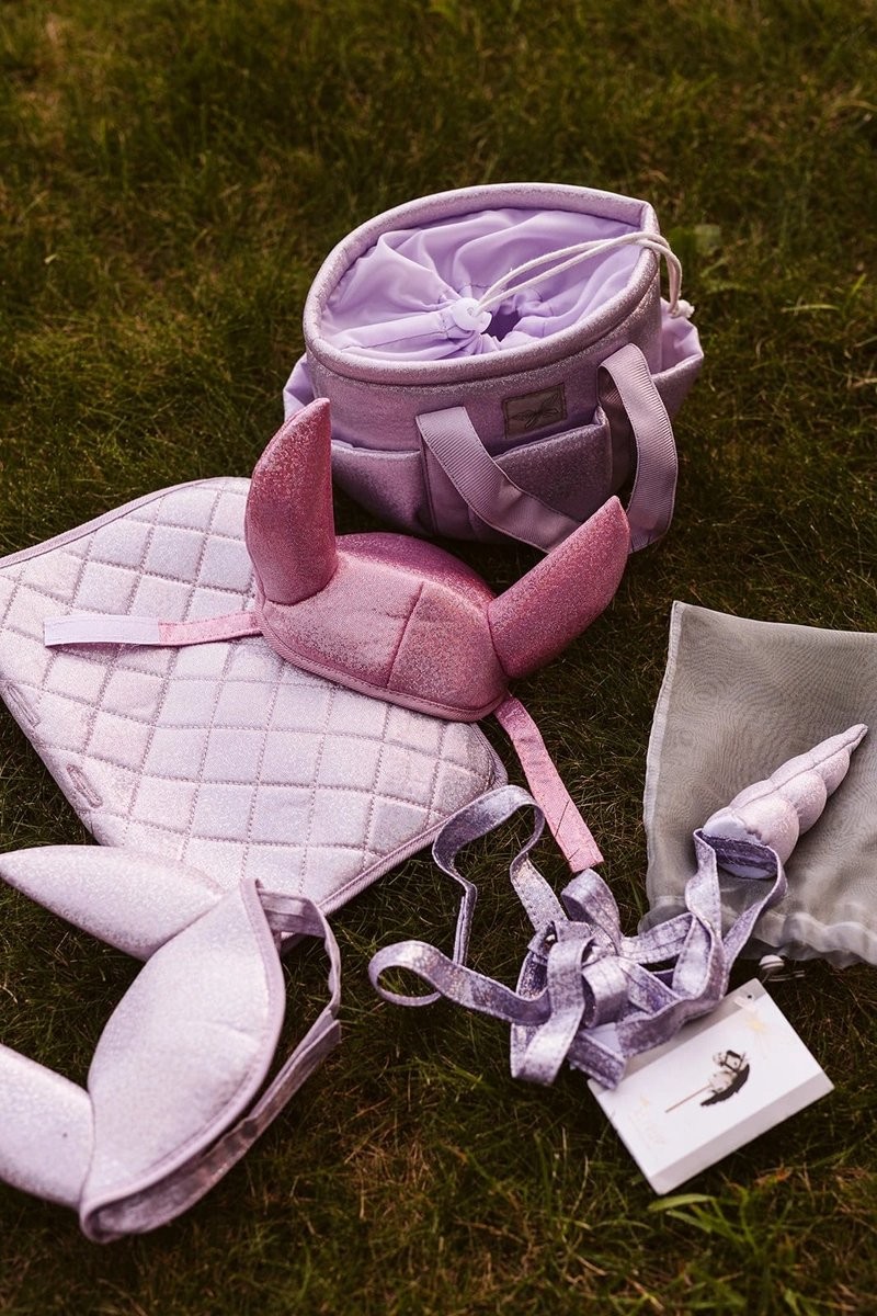 https://hobbyhorsefun.nl/wp-content/uploads/2025/01/stokpaard-zadeldekje-en-glitter-muts-lila-2.jpg
