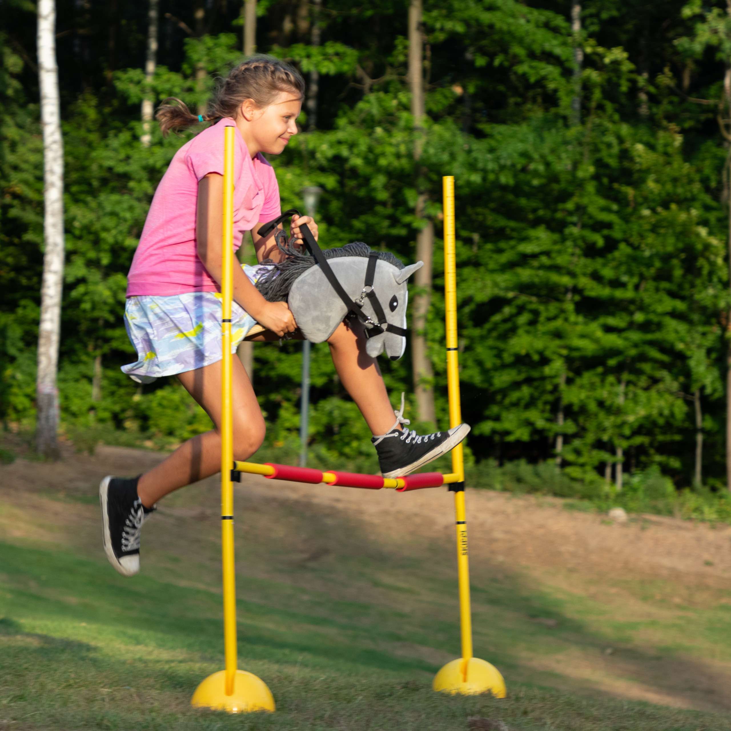 https://hobbyhorsefun.nl/wp-content/uploads/2025/02/s5___mouse-gray-hobby-horse-skippi-jumping-9220.jpg