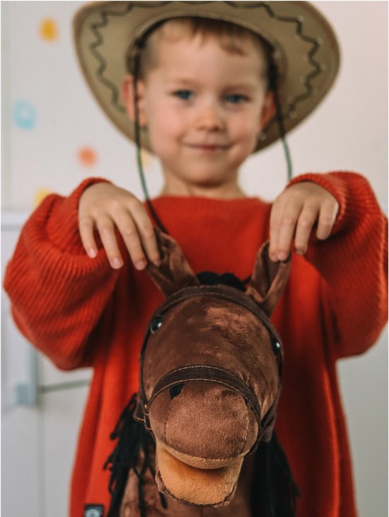 https://hobbyhorsefun.nl/wp-content/uploads/2025/03/550x731a.jpg