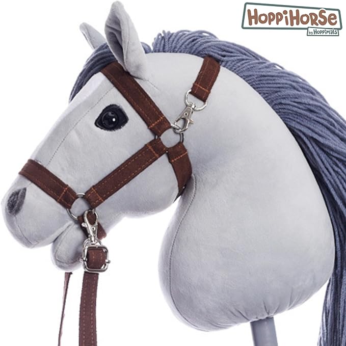 https://hobbyhorsefun.nl/wp-content/uploads/2025/03/71qgKzmbmxL._AC_SX679_.jpg
