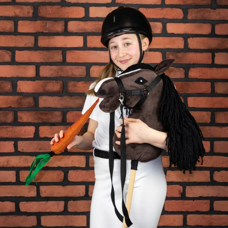 https://hobbyhorsefun.nl/wp-content/uploads/2025/03/s5___hobby-horse-skippi-bay-carrot_7231_800x800.webp