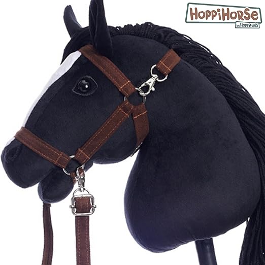 https://hobbyhorsefun.nl/wp-content/uploads/2025/04/71ya9SfegdL._AC_SX522_.jpg