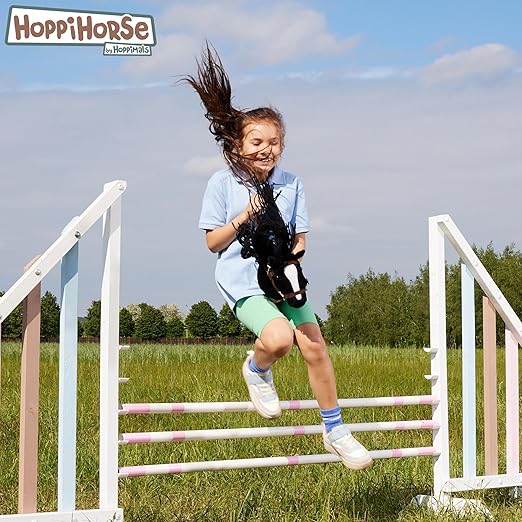 https://hobbyhorsefun.nl/wp-content/uploads/2025/04/81RraWw6-rL._AC_SX522_.jpg