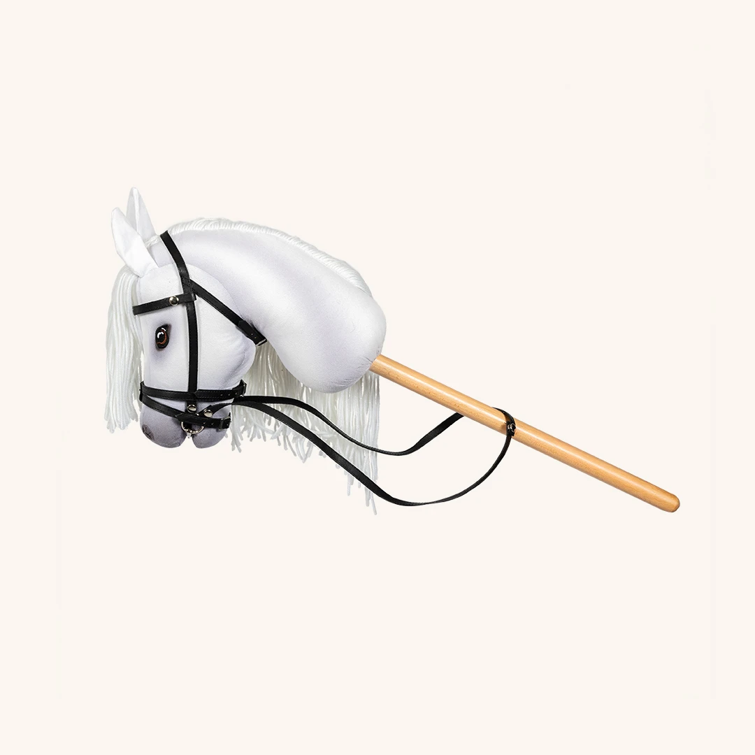 https://hobbyhorsefun.nl/wp-content/uploads/2025/04/Sigrid-1.webp