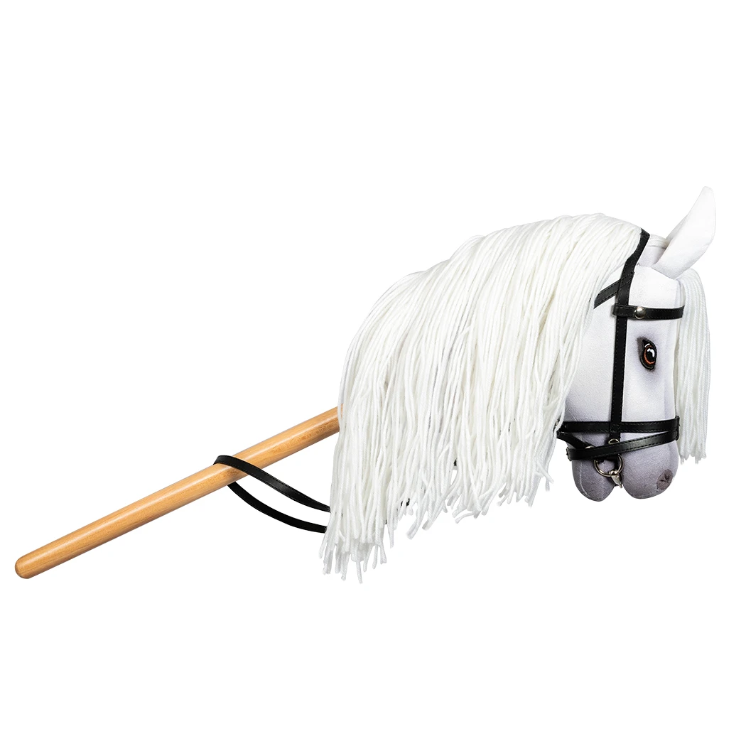 https://hobbyhorsefun.nl/wp-content/uploads/2025/04/sigrid-4.webp