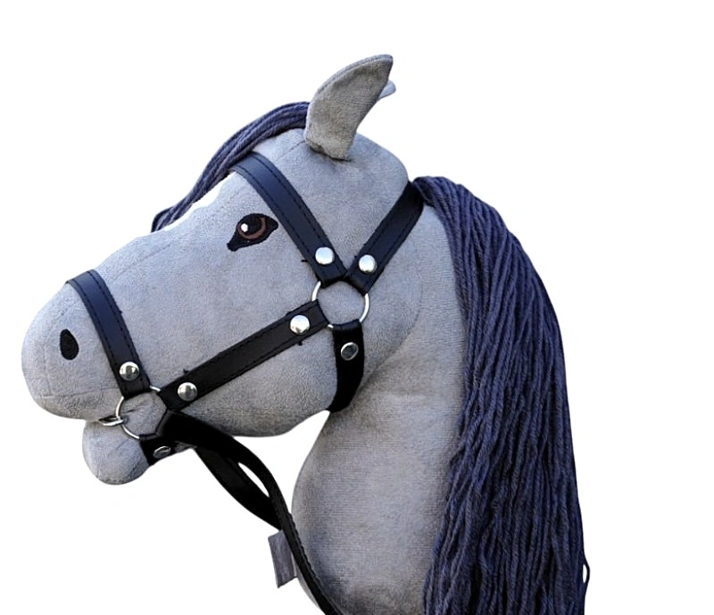 https://hobbyhorsefun.nl/wp-content/uploads/2025/05/DSC00478_1280_720-Photoroom_800_689a.webp