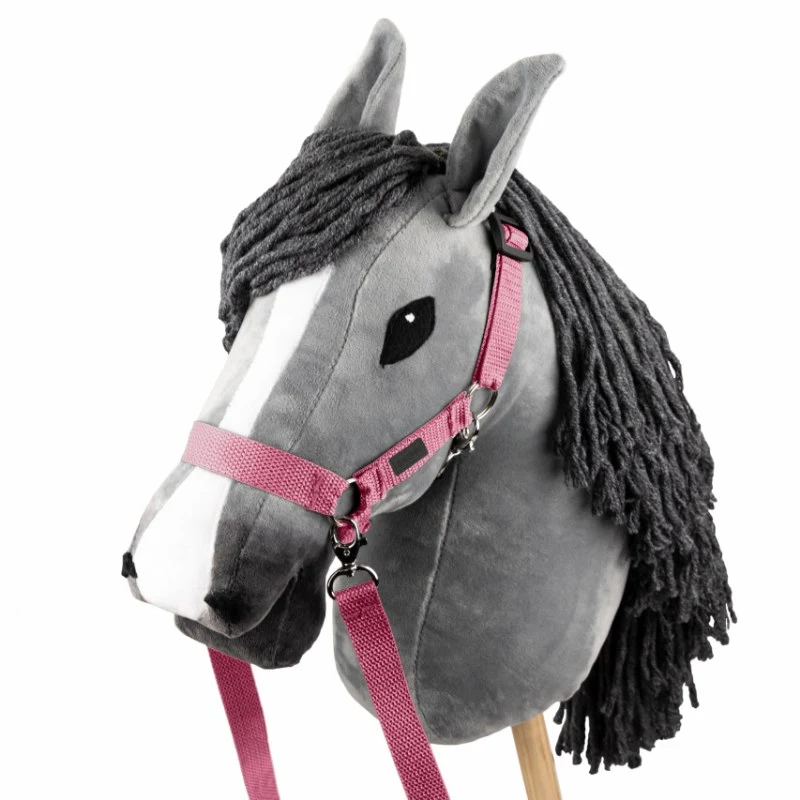 https://hobbyhorsefun.nl/wp-content/uploads/2025/05/Skippi-Halster-Roze-3.webp