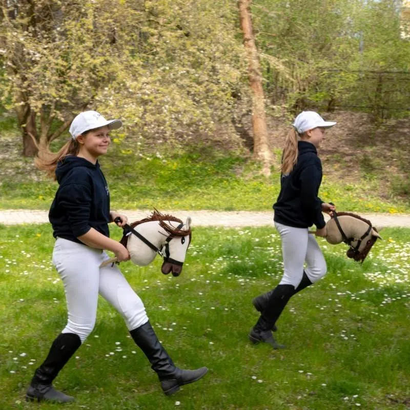 https://hobbyhorsefun.nl/wp-content/uploads/2025/05/Skippi-Hobby-Horse-Kameel-Kleurig-2.webp