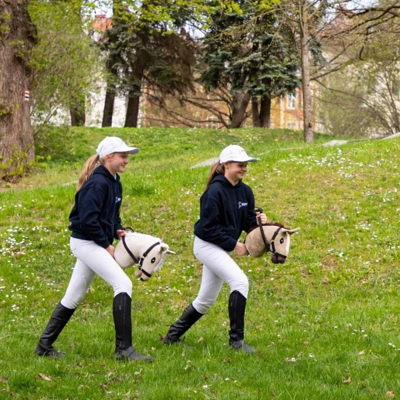 https://hobbyhorsefun.nl/wp-content/uploads/2025/05/Skippi-Hobby-Horse-Kameel-Kleurig-3.webp