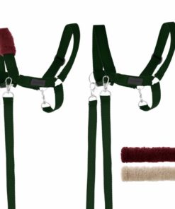 Skippi-Halster-en-teugels-groen