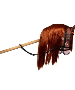 Hobby Horse-coco